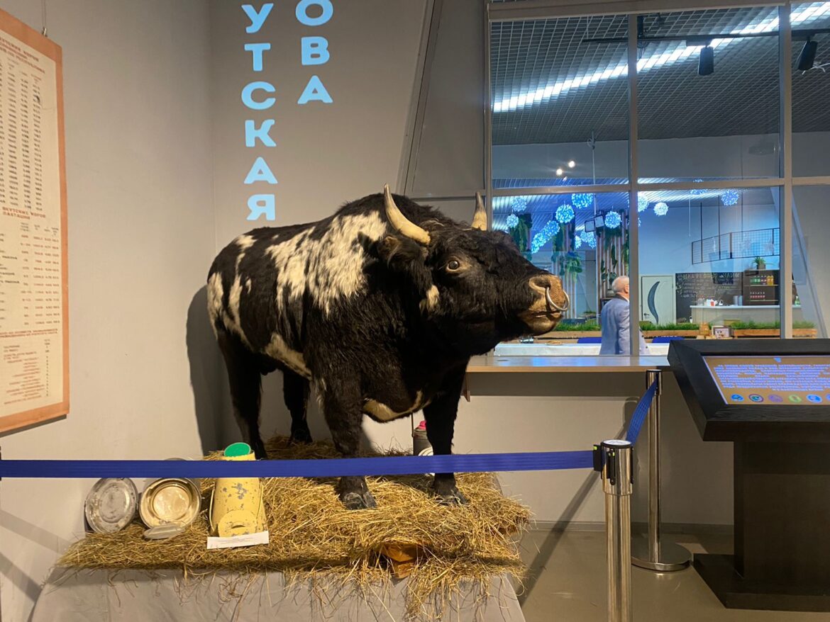 Выставка, посвященная первому директору Якутского НИИ Георгию Коротову