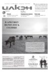 обложка Илкэн 01 2025_page-0001